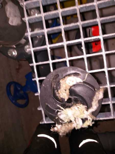Fehler vor Ort – Bild 1